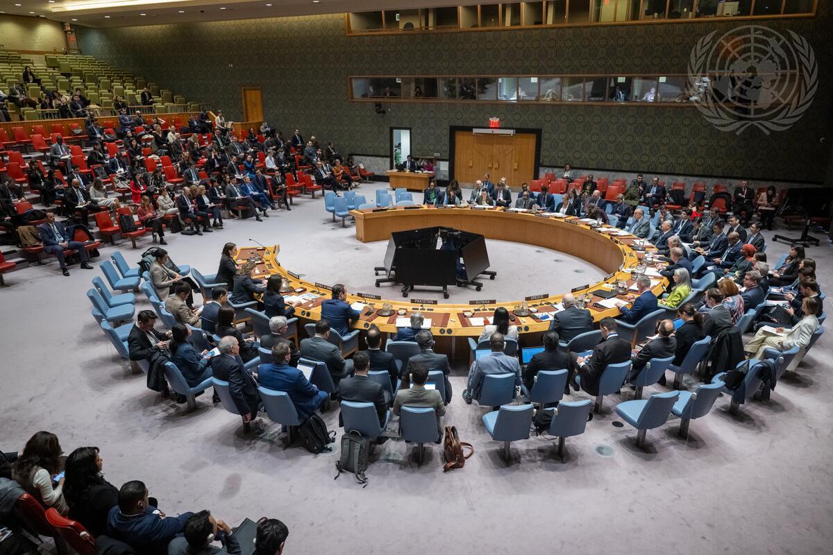 UN Security Council