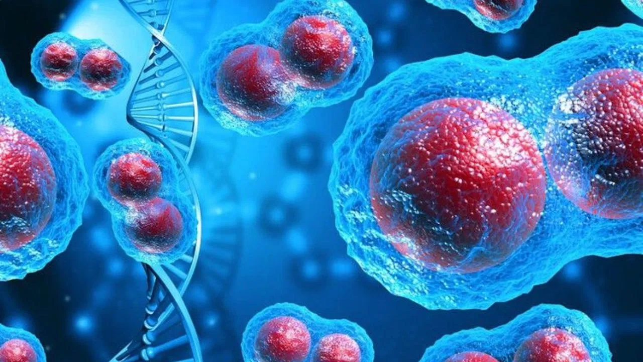 Global cancer cases projected to reach nearly 35 million by 2050