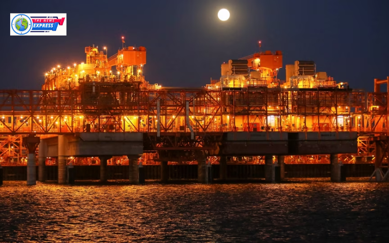 Oil