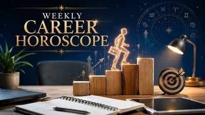 Career & Finance